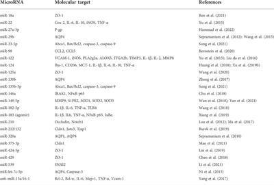 Role of microRNAs in the regulation of blood-brain barrier function in ischemic stroke and under hypoxic conditions in vitro